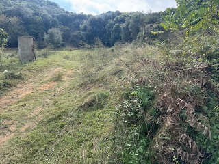 Antonio Torrent I Martori 10