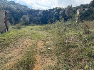 Antonio Torrent I Martori 11