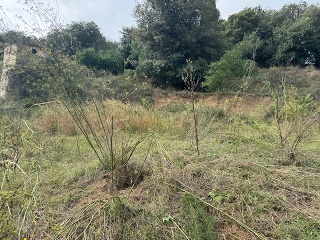 Antonio Torrent I Martori 12
