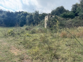 Antonio Torrent I Martori 13