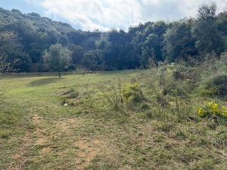 Antonio Torrent I Martori 15