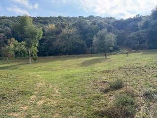Antonio Torrent I Martori 16