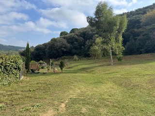 Antonio Torrent I Martori 17
