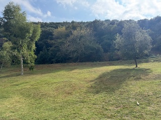 Antonio Torrent I Martori 19