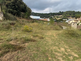Antonio Torrent I Martori 20