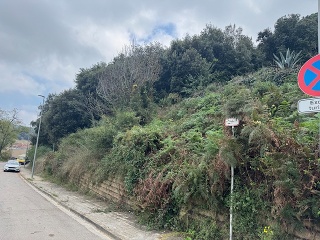 Antonio Torrent I Martori 25
