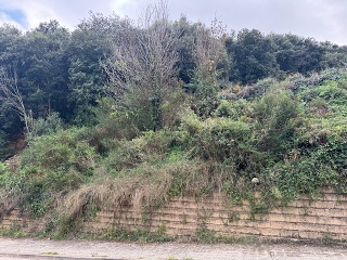 Antonio Torrent I Martori 26