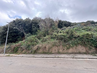 Antonio Torrent I Martori 27