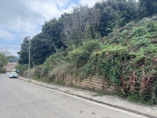 Antonio Torrent I Martori 28