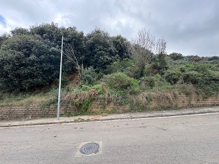 Antonio Torrent I Martori 29