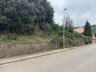 Antonio Torrent I Martori 30