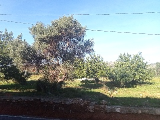 Partida Mestrets 25