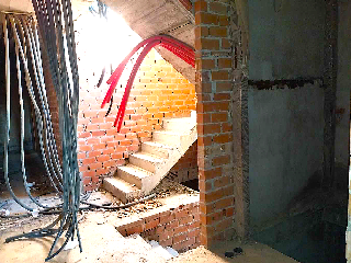 CARDENAL REIG 36