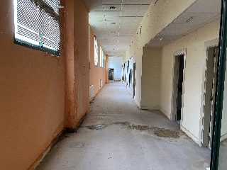 PEDREGAL 17