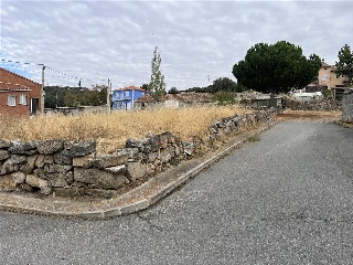 De La Viña 9