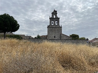 De La Viña 21