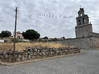 De La Viña 24