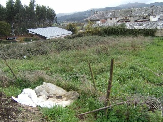 Conjunto de casas, suelo y cuadra en Valadouro - Lugo - 2