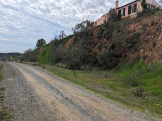 Finca rústica en Pj Peña Gorda, Calañas (Huelva) 9