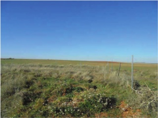 Suelo urbanizable en Villanueva de la Torre (Guadalajara) 8
