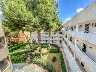 Apartamento en Pilar de la Horadada 16