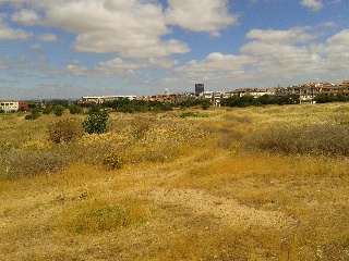 Suelos en Badajoz 9
