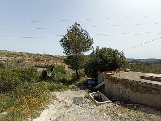 Chalet en Cm. Rincón de Morera, Aspe (Alicante) 26