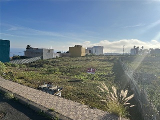 Desamparados Los 5
