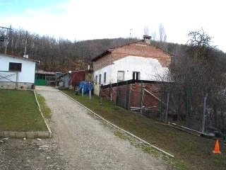 Diseminados 2