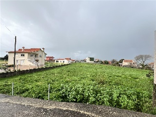 Castañal. Lugar Saianes  Apr A-1-11 Parcela P8 4