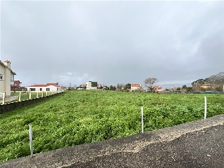 Castañal. Lugar Saianes  Apr A-1-11 Parcela P8 5