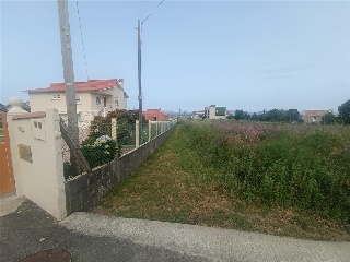 Castañal. Lugar Saianes  Apr A-1-11 Parcela P8 7