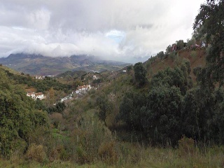 Peñon El 9