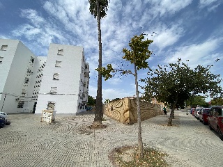 Monterrey 4
