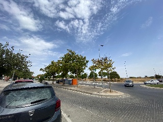 Monterrey 10