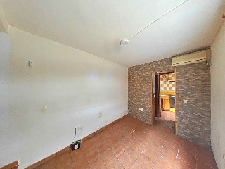 Zorrilla 3
