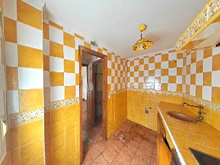 Zorrilla 4