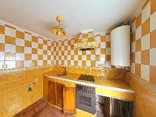 Zorrilla 5