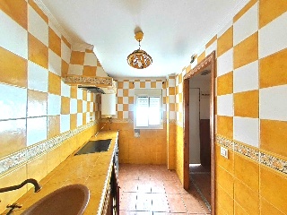 Zorrilla 6