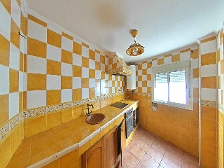 Zorrilla 7