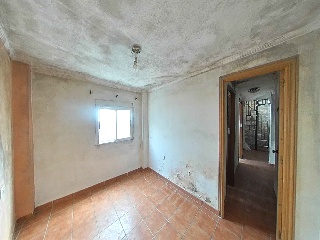 Zorrilla 8