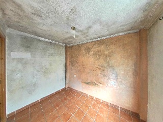 Zorrilla 9