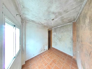 Zorrilla 10