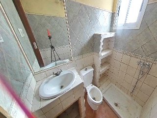 Zorrilla 11