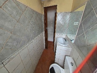 Zorrilla 12