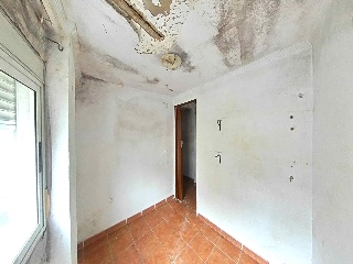 Zorrilla 13