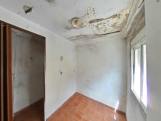 Zorrilla 15