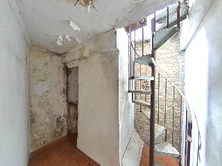 Zorrilla 17