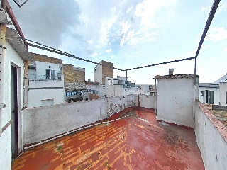 Zorrilla 19
