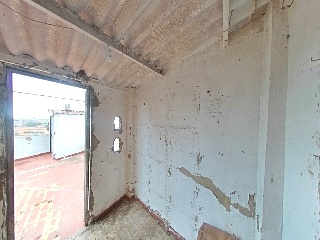 Zorrilla 20